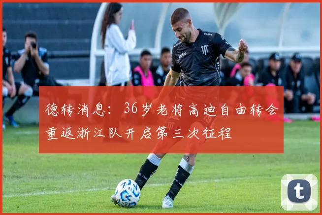 德转消息：36岁老将高迪自由转会重返浙江队开启第三次征程