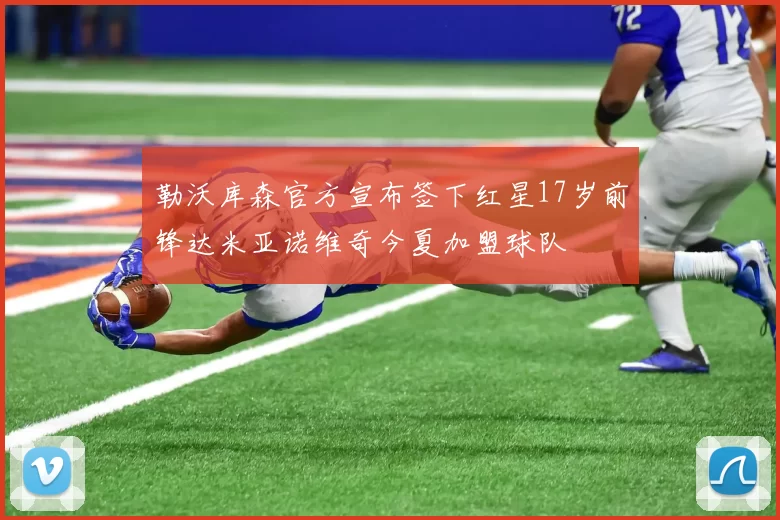 勒沃库森官方宣布签下红星17岁前锋达米亚诺维奇今夏加盟球队